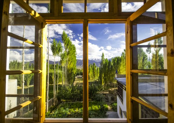 Cost of Wood Window Replacement in Oakland